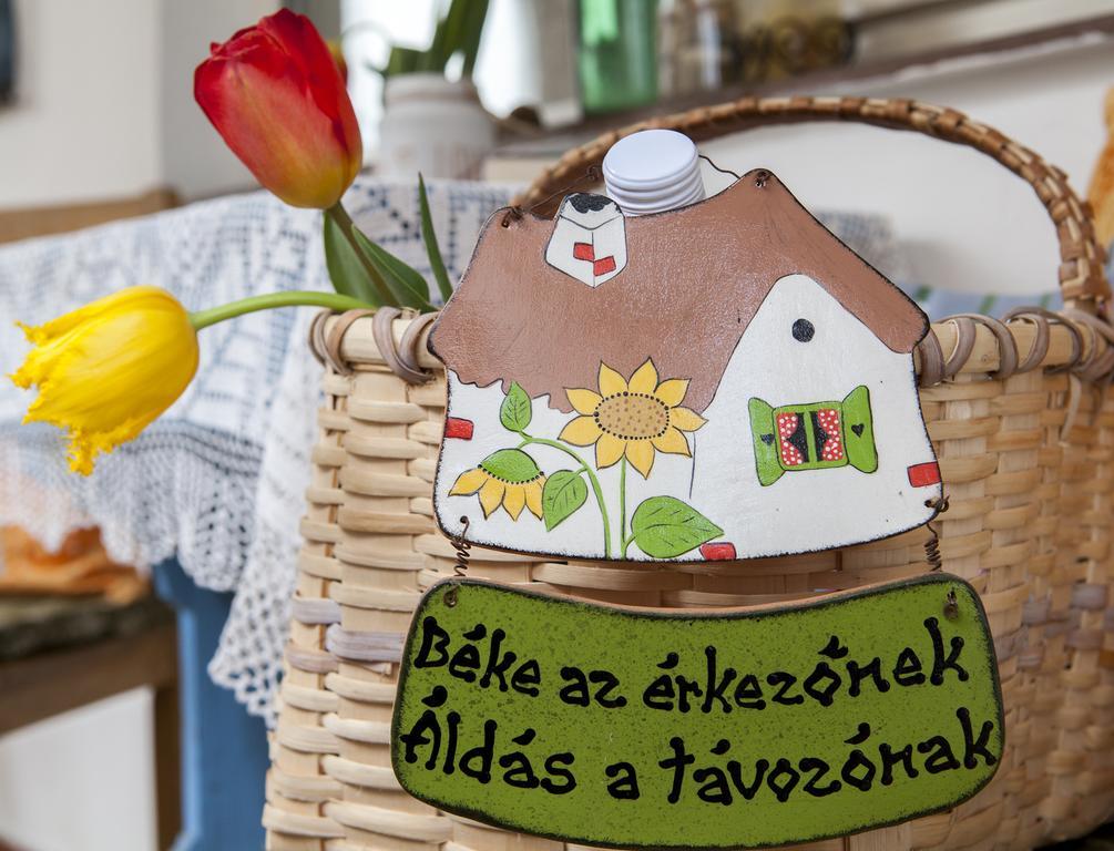 Emese Vendégház Noszvaj Esterno foto